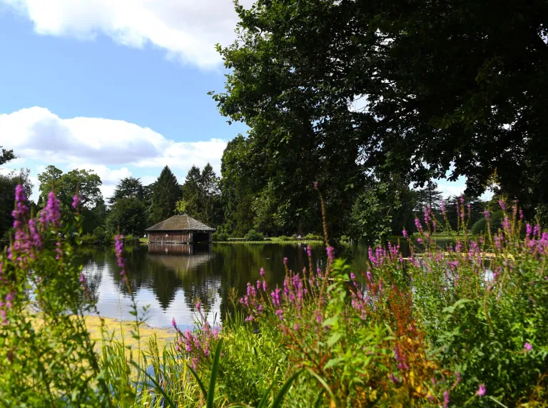 A lake surrounded by flora and fauna with a summer house in the background.