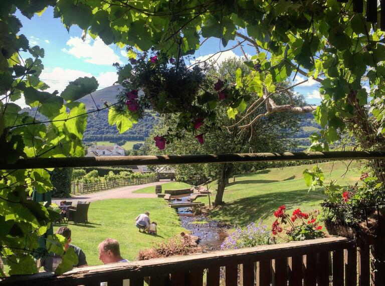 Views of the gardens on the balcony framed by foilage at Sugar Loaf Vineyard.
