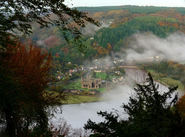 Tintern Abbey visable through trees and mist.