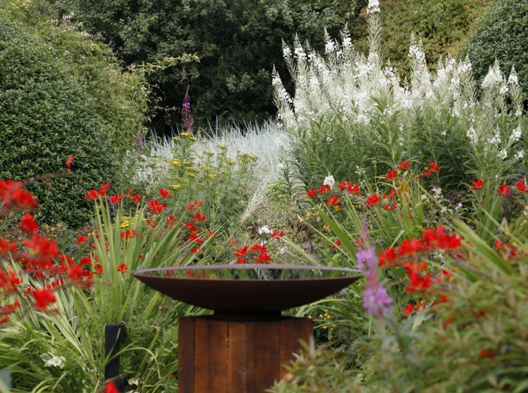 bird bath and flowering plants.