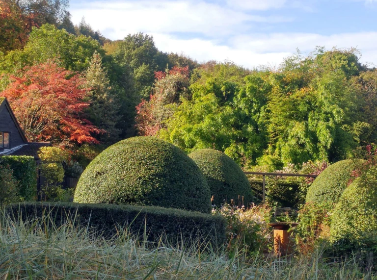 shaped hedges and trees.