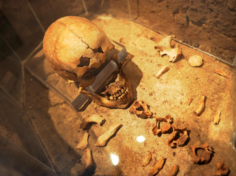 Skeleton in a coffin