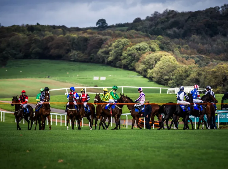 Jockeys on their horses waiting to start a race on a racecourse.