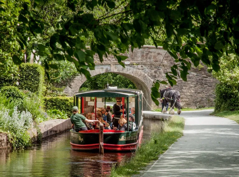 A horse pulling along a boat filled with passengers on a canal.