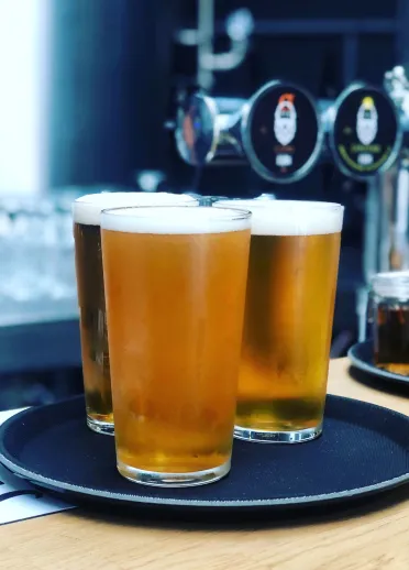 Three pints of beer on a serving tray at a bar next to pumps.