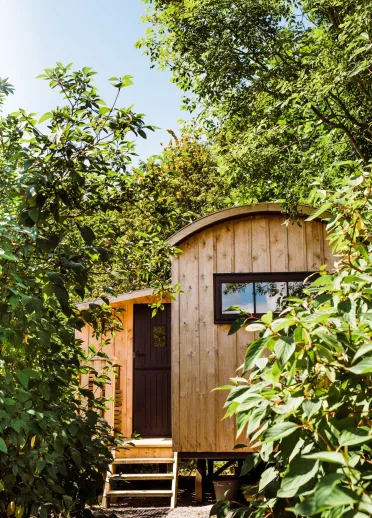 A wooden lodge hidden in the bushes at Hide, St Donats.