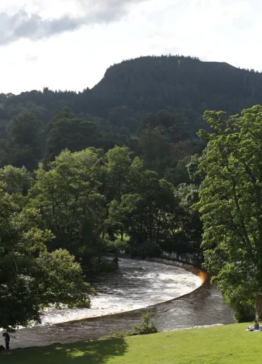 A river flowing over a horseshoe shaped waterfall amongst trees.