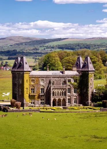 A grand house in green open pasture with four turrets covered in ivy.