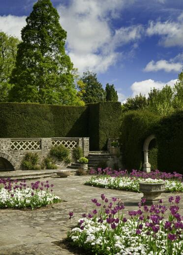 Manicured hedges with an arched entrance surrounding stone trellis walls, flowers and fountain.