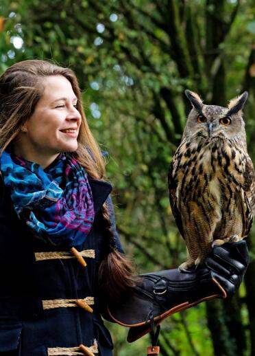 A handler with an owl.