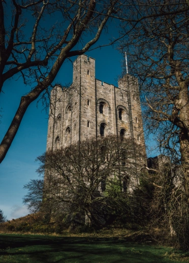 A castle tower surrounded by trees in winter.