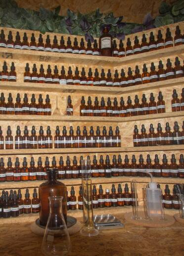 Perfumery bottles on rows of shelves in a laboratory.