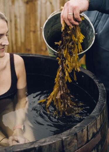 A lady in a barrel bathing in seaweed water.