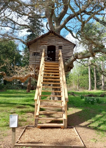 Wooden steps leading up to a treehouse.