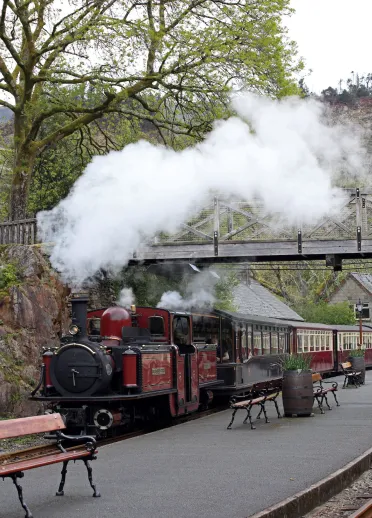 Steam train bellowing white steam from its funnel travelling under a bridge into the station.