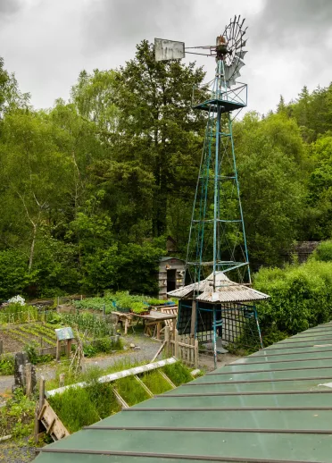 A wind turbine set amongst plots of growing vegetables.