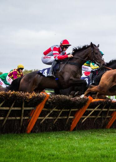 Horses ridden by jockeys jumping over a fence on a racecourse.