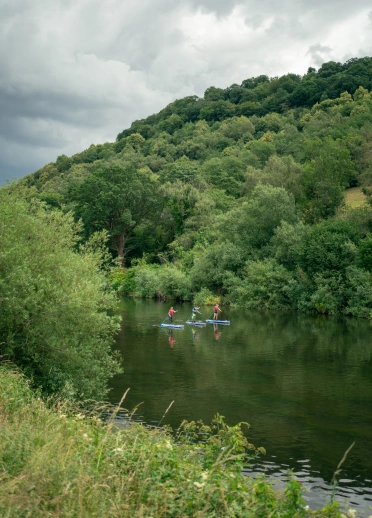 Group of people stand-up paddleboarding on a river.