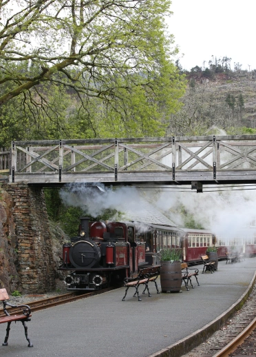 A steam train travelling under a footbridge and arriving at a station.