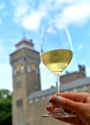 A hand holding up a class of wine with a castle in the background.