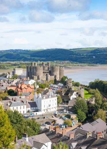 View of a town and its castle from above.
