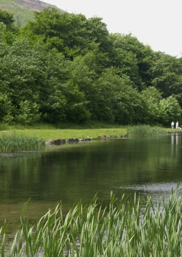 People sitting by a large lake surrounded by forestry and mountains.