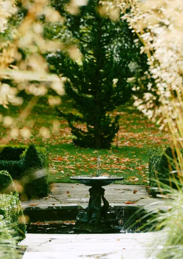 A fountain set amongst ferns and trees in Bodnant Garden.