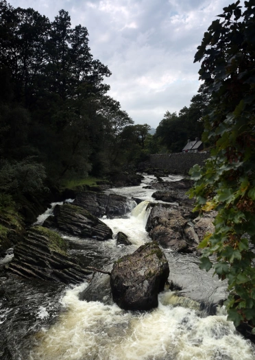 A river streaming through large boulders and rocks surrounded by trees.