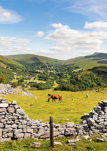 A horse grazing in a field edged with a stone wall with mountains in the background.