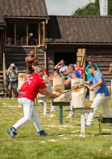 Men chopping through upright logs competition.