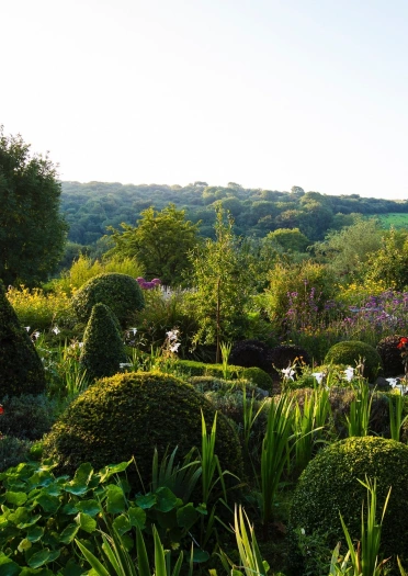 Garden with a variety of plants including clipped evergreens.