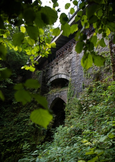 Three bridges surrounded by fauna.