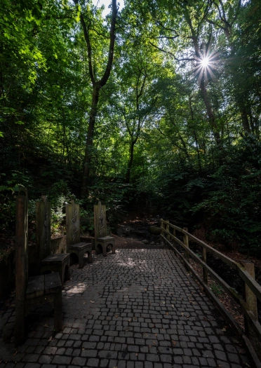 Wooden medieval chairs on a walking route in a forest.