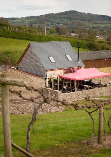 The visitor centre at a vineyard, with vines in the foreground.