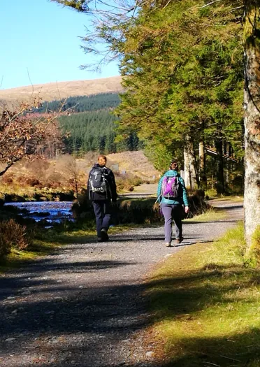 People walking through the forest, by a river.