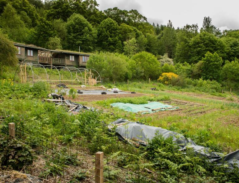 A view of the allotment and sheds at Centre for Alternative Technology.