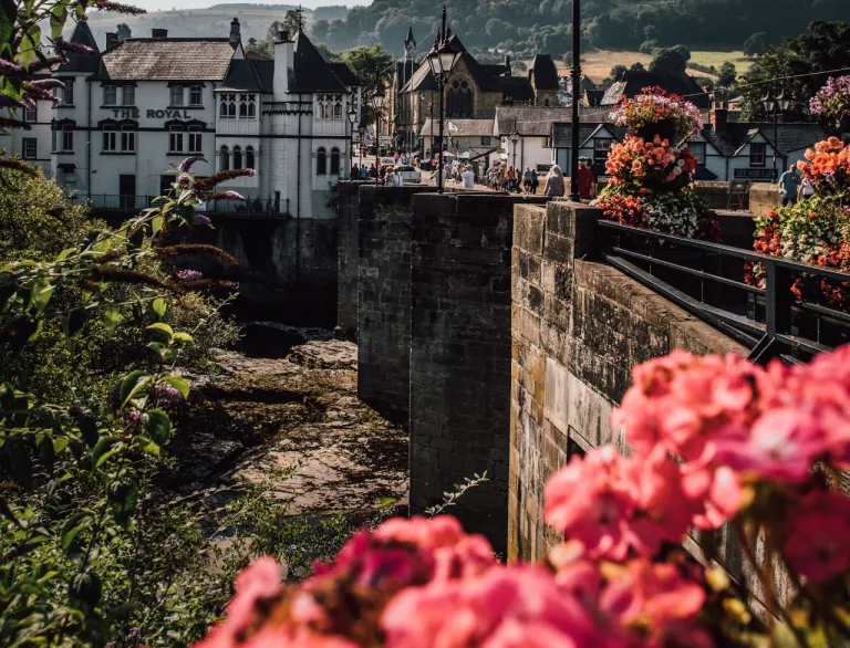 View of a town across a river bridge with flowers in the foreground.