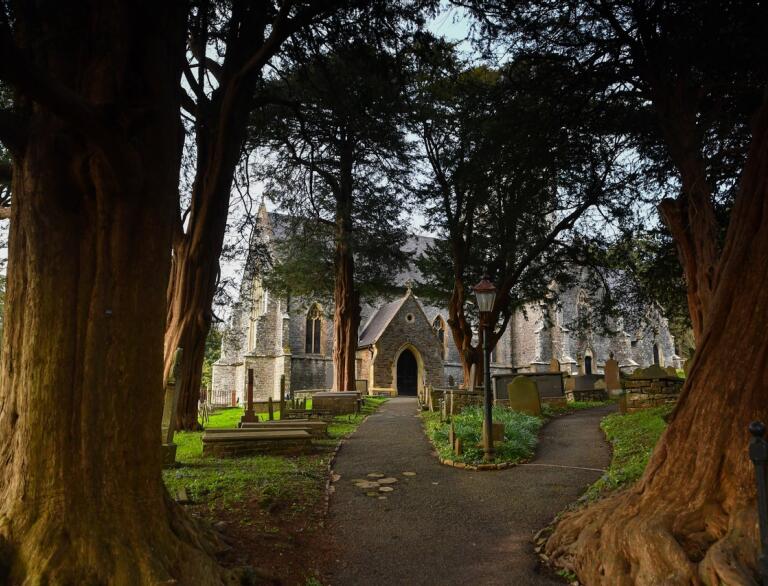 Two large trees at the start of a path leading to a church and graveyard.