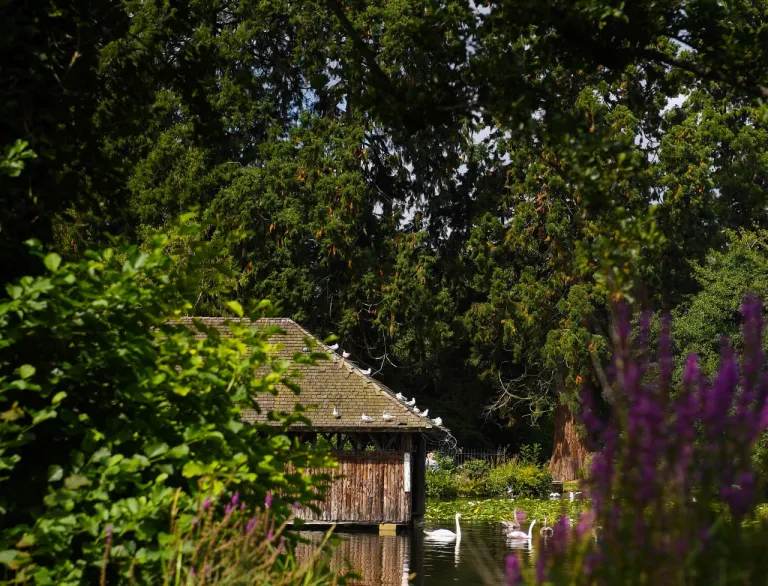 The lake and lake house surrounded by shrubs at Tredegar House.