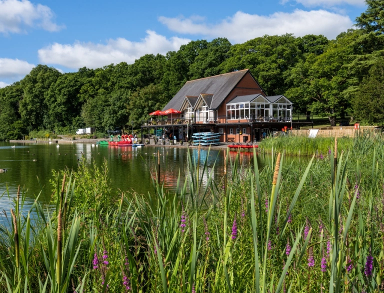 A lake, boat house and cafe seen through reeds and flowers.