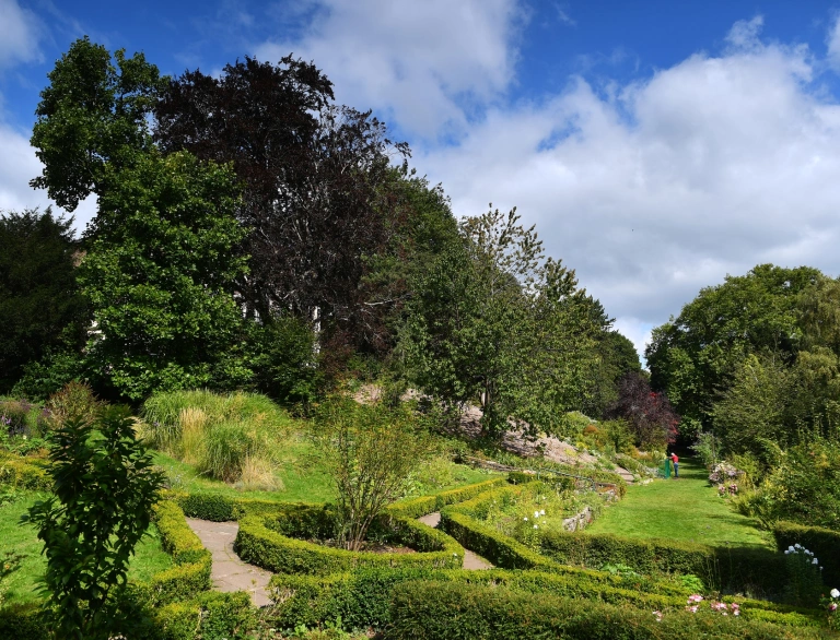 Pathways in a garden.