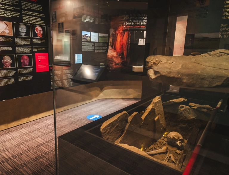 Bones of a skeleton in a glass casing within a museum.