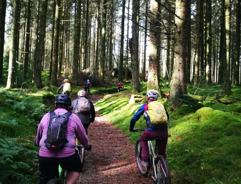 Group of people cycling through a forest.