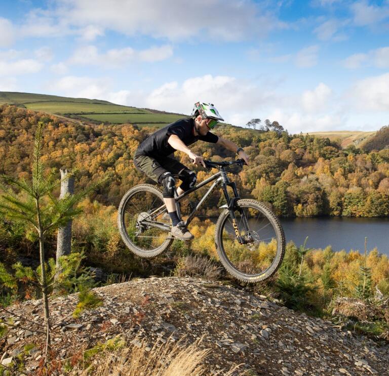 A mountain biker doing a jump amongst forestry.