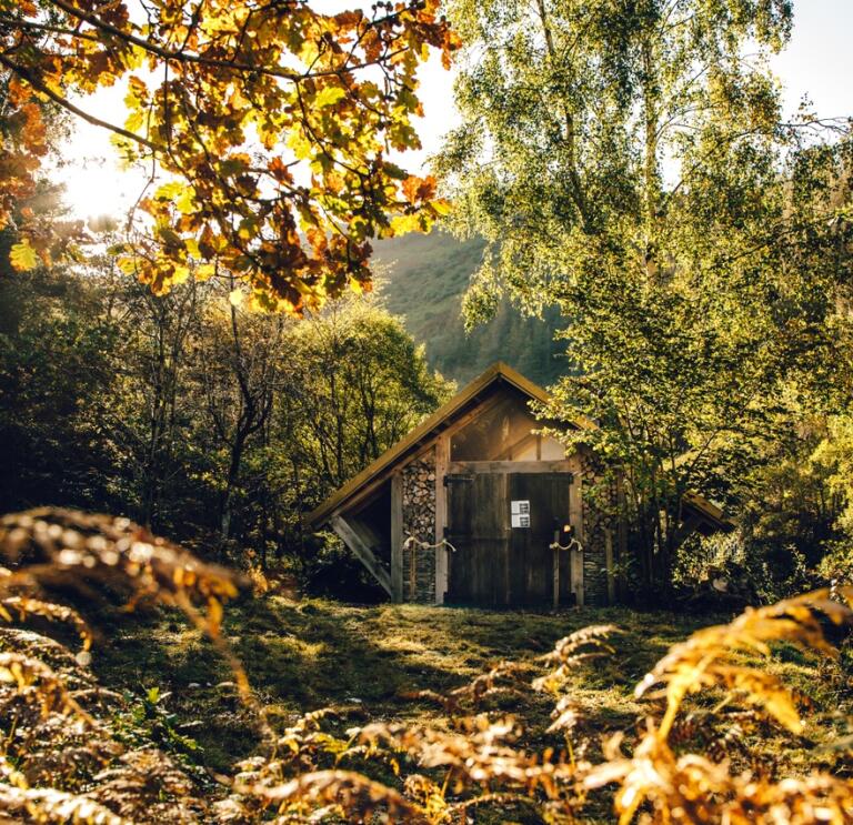 A building made of natural wood and logs in the woodland filled with sunlight.