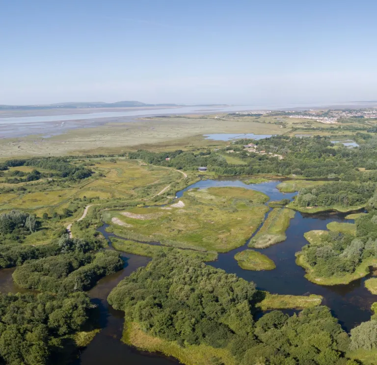 Aerial shot of water reserves surrounded by greenery by the coast.