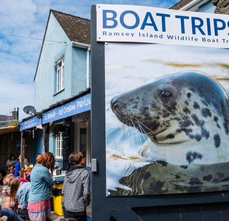 A board with a picture of a seal in the water advertising boat trips to an island. 