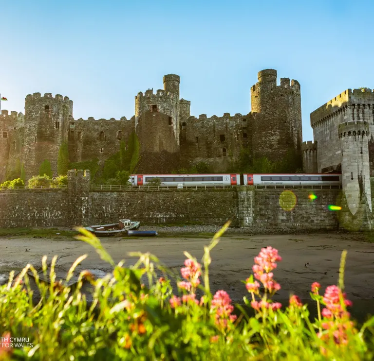 A train travelling alongside a castle.