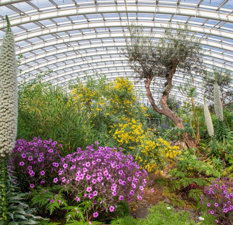A Great Glasshouse with colourful flowers and exotic plants.