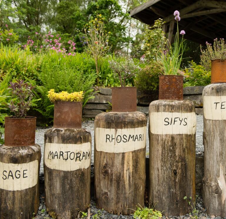 A row of herbs in pot plants on log posts.